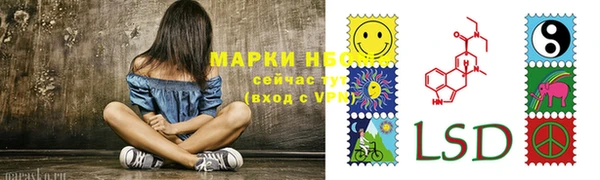 стаф Баксан