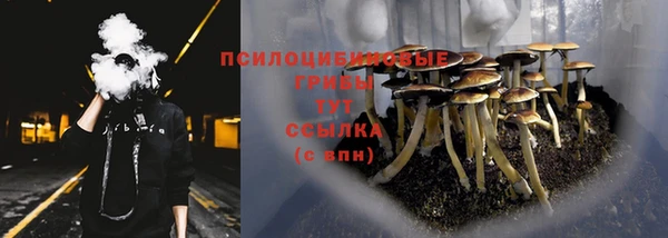 стаф Баксан