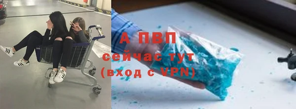 стаф Баксан