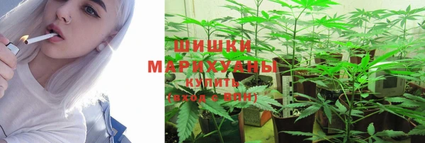 стаф Баксан