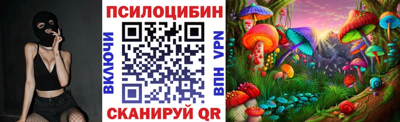 Псилоцибиновые грибы Psilocybe  купить наркотик  Чулым 